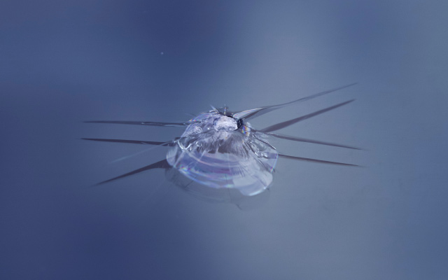 フロントガラスの修理